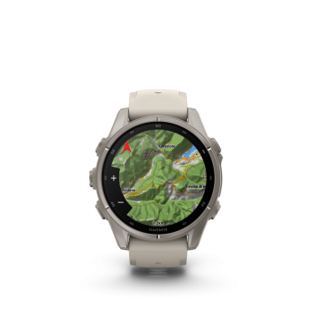 GARMIN Fenix 9, 43mm, Nebelgrau/Titan mit Silikon-Armband (010-04761-01)